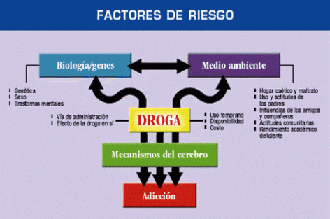 Factores de riesgo que pueden llevar a la adicción
