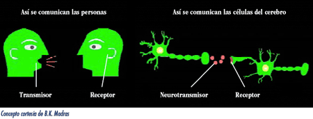 Esta imagen muestra como los mensajes se transmiten en el cerebro. El cerebro utiliza receptores, transportadores y los neurotransmisores para transmitir informacin.