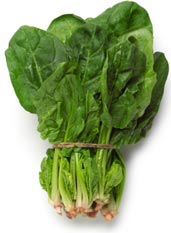 Espinaca